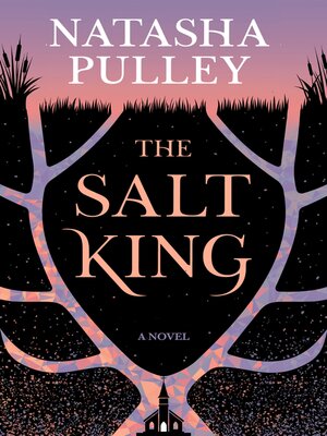 cover image of The Salt King
